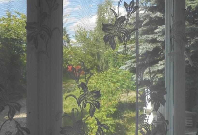 اتاق استاندارد یک نفره, Leon