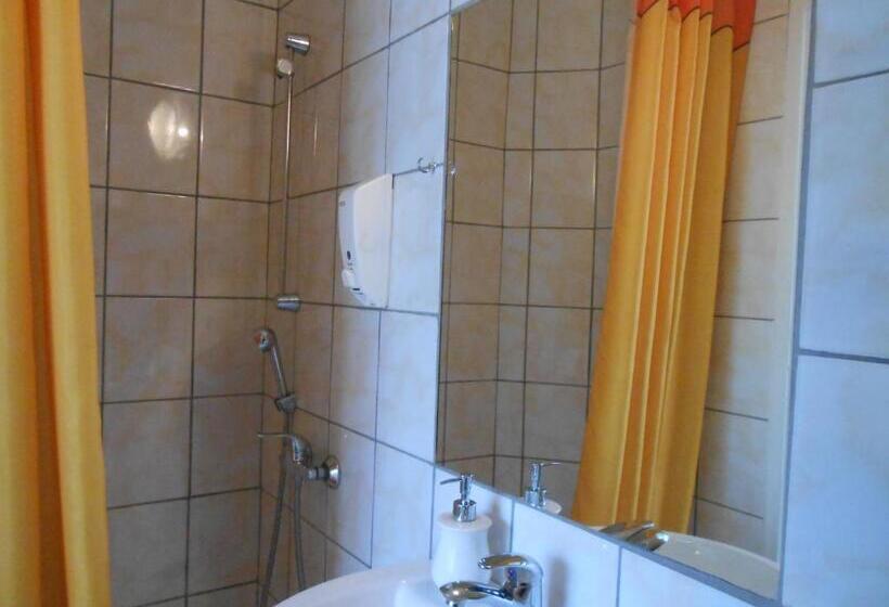 اتاق استاندارد یک نفره, Leon