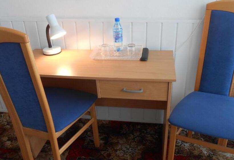 اتاق سوپریور, Leon