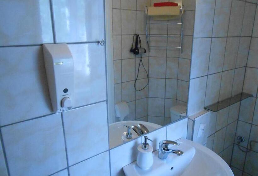 اتاق استاندارد یک نفره, Leon