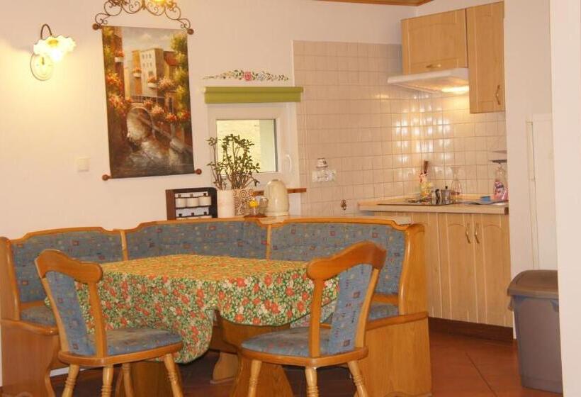 Студия Стандарт, Canal Grande