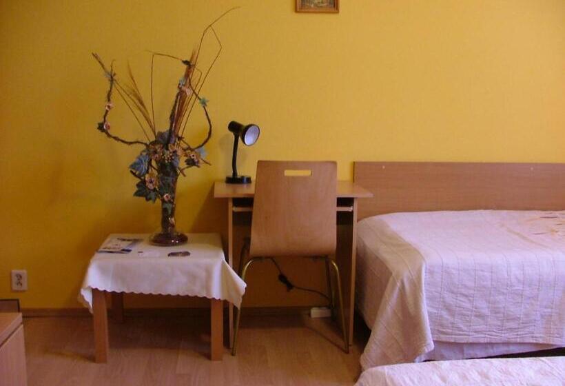 اتاق استاندارد یک نفره, Dom Gościnny Pod Brzozami