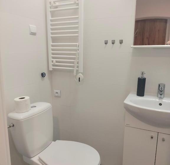 اتاق استاندارد با تخت بزرگ, Pokoje U Filipa