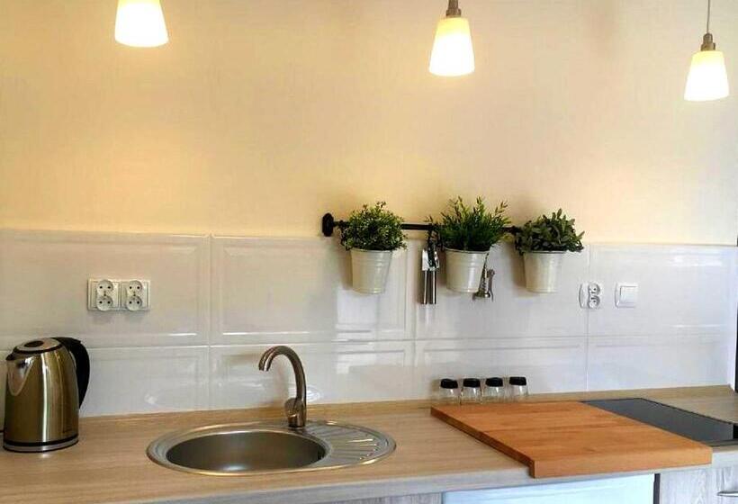 إستوديو قياسى مطلّ علي الحديقة, Rancho