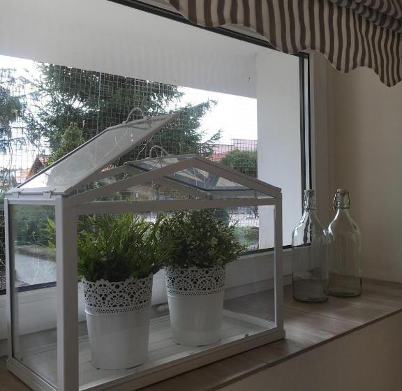 إستوديو قياسى مطلّ علي الحديقة, Rancho