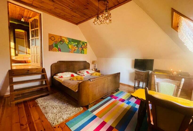 استودیوی استاندارد, Siedlisko Zatoka