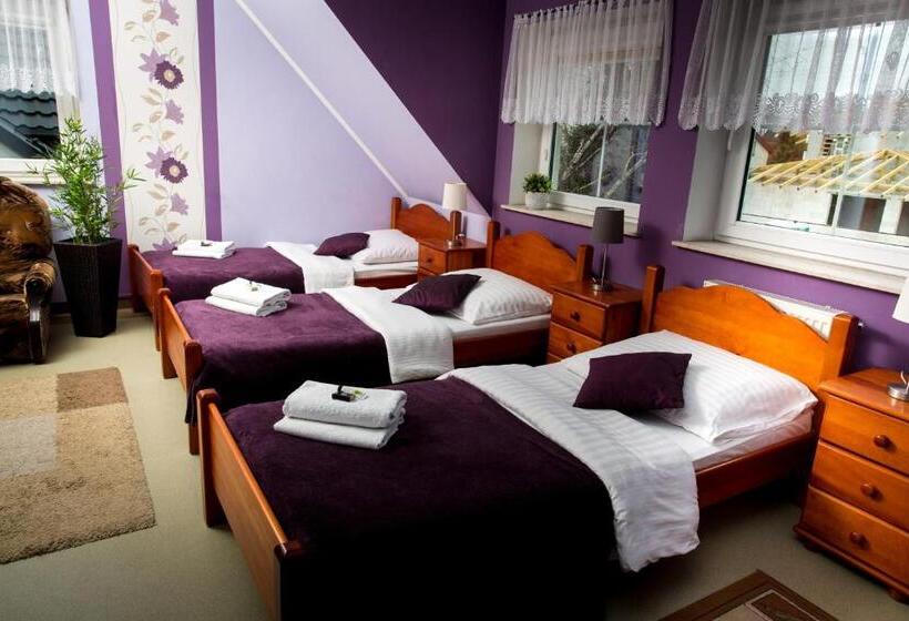 اتاق استاندارد سه نفره, Ik - Modlin Airport