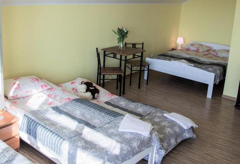 סטודיו סטנדרטי נוף לים, Noclegi Nafali Rewa