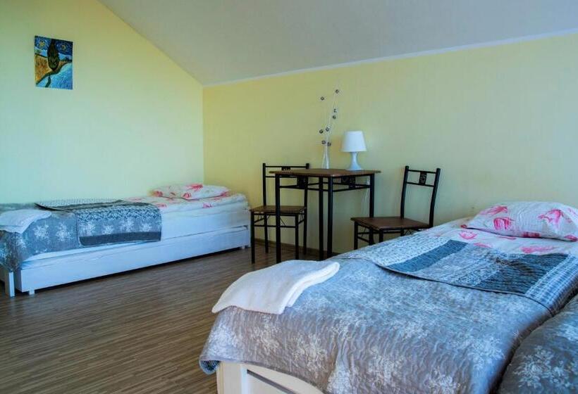 סטודיו סטנדרטי נוף לים, Noclegi Nafali Rewa