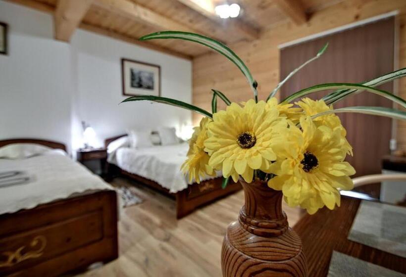 اتاق استاندارد سه تخته با چشمانداز باغ, Magnat Inn & Sauna & Relax