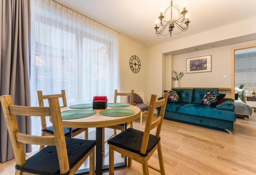 شقة ديلوكس غرفة واحدة, Bory6a Apartamenty & Free Parking