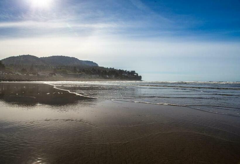 آپارتمان 1 خوابه, Gulls Nest