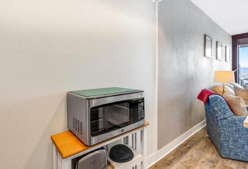 آپارتمان 1 خوابه, Gulls Nest