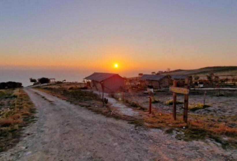 Standard Tent, Tendu  Punta Bianca Glamping Camp