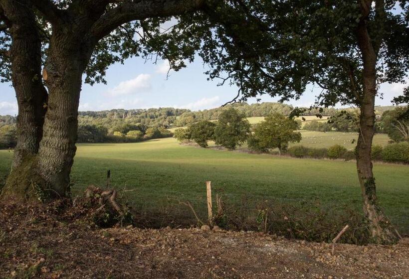 자쿠지 스위트, Who D A Thought It