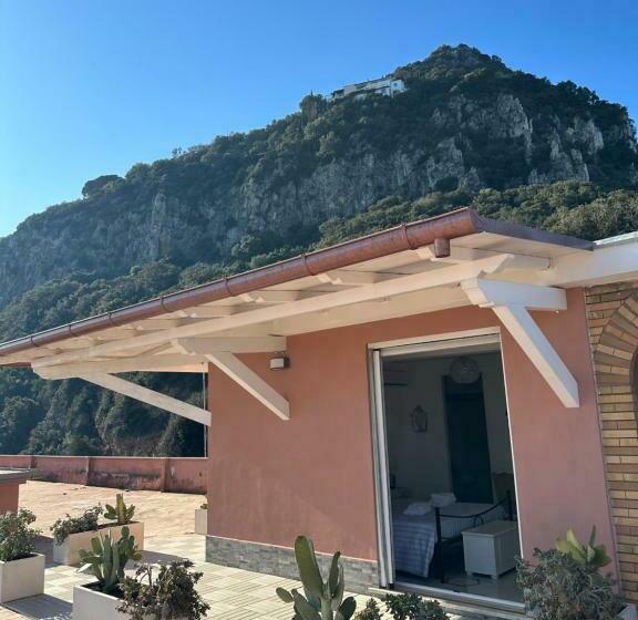 标准间带露台, The Roofport