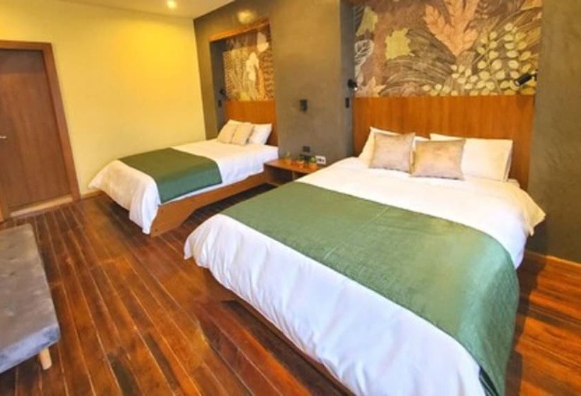 ファミリールーム, Inti Quito