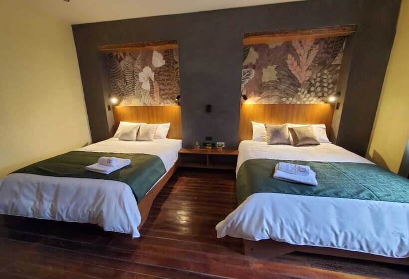 수피리어 룸, Inti Quito