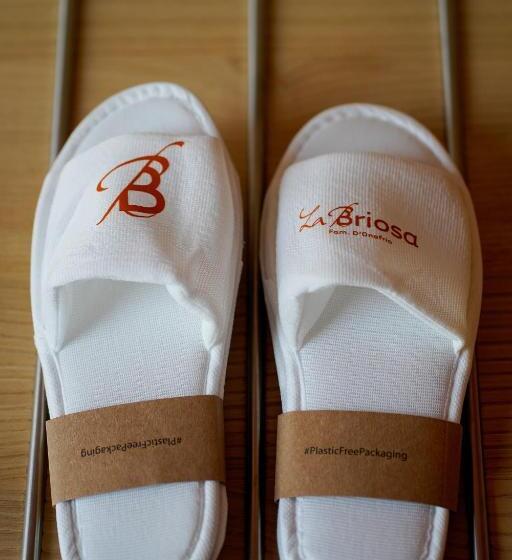 スタンダードルーム, La Briosa