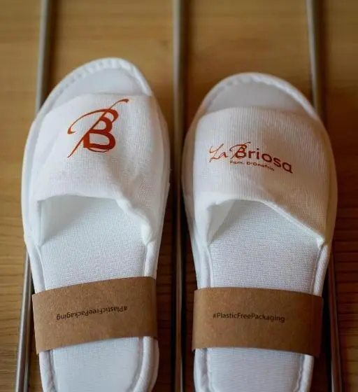 اتاق راحتی سه تخته, La Briosa