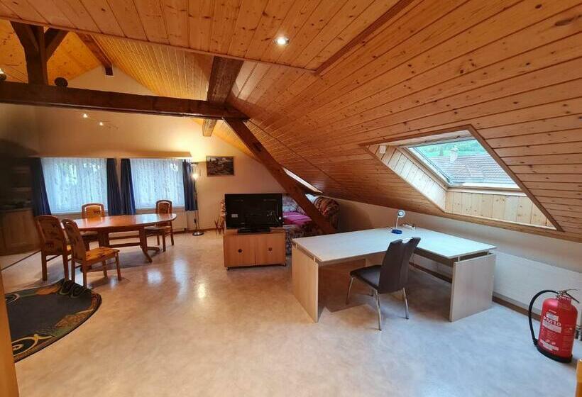 スタンダードルーム, Dachwohnung In Welschenrohr