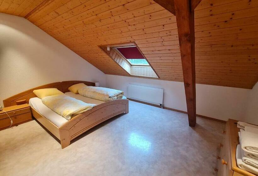 スタンダードルーム, Dachwohnung In Welschenrohr