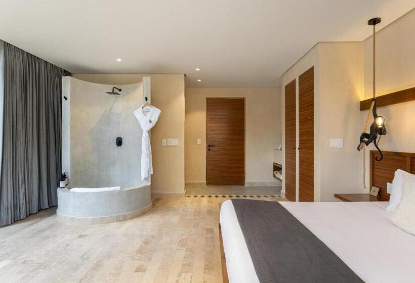 سوئیت با تخت بزرگ, Faisano Nomadas