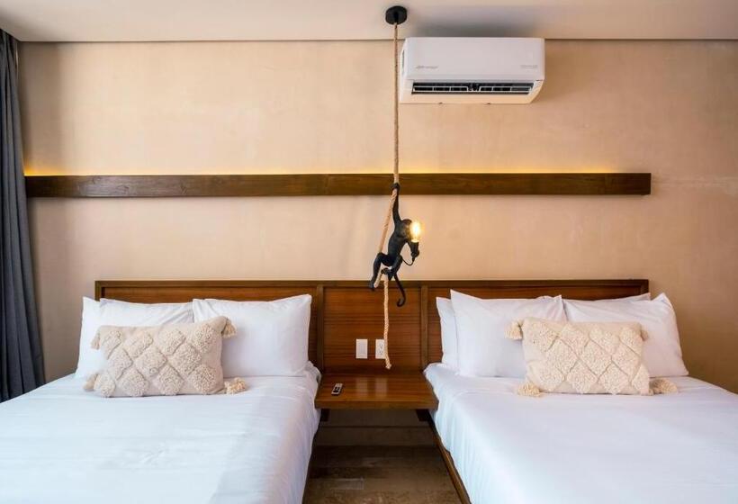 اتاق لوکس, Faisano Nomadas