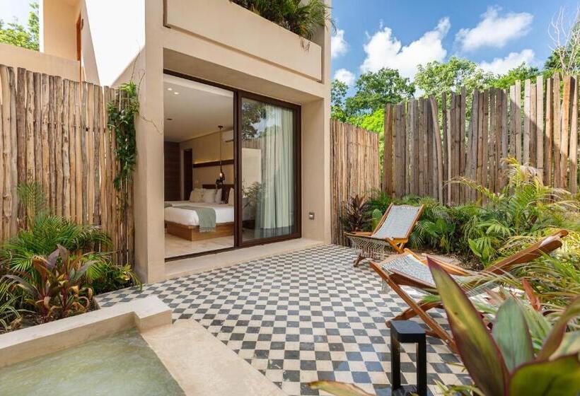 اتاق لوکس, Faisano Nomadas