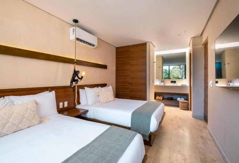 اتاق استاندارد, Faisano Nomadas