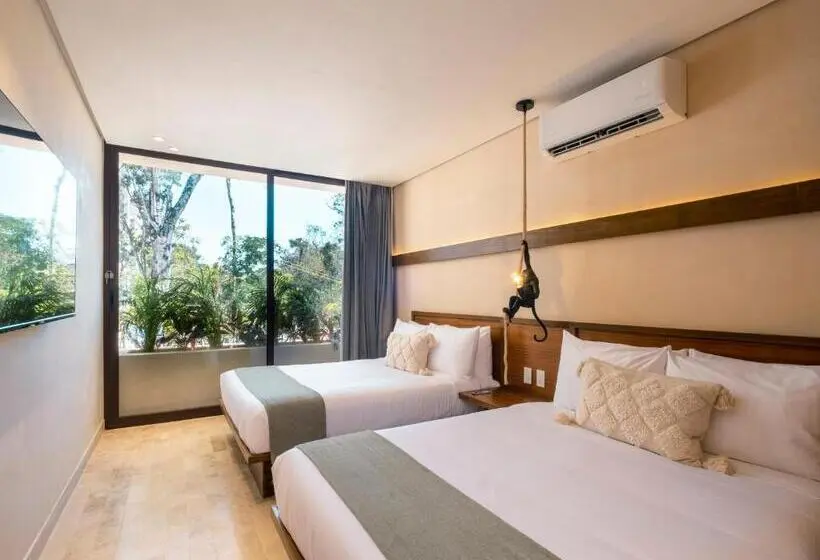 اتاق استاندارد, Faisano Nomadas