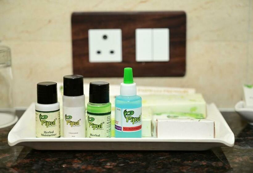 Superior-Zimmer, Pipul Padmaja Pride