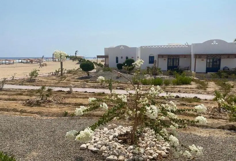 اتاق استاندارد با چشم‌انداز استخر, Beach Safari Nubian Resort
