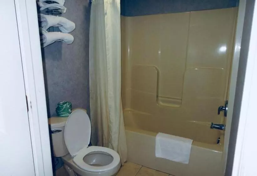 キングサイズベッドのデラックスルーム, Village Inn And Suites