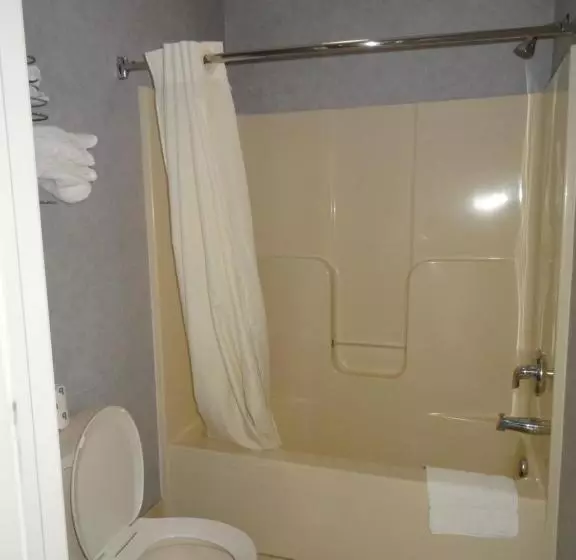 キングサイズベッドのデラックスルーム, Village Inn And Suites