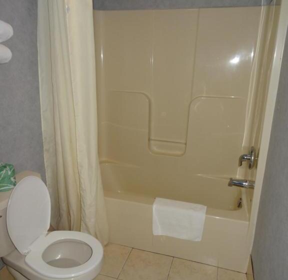 스탠다드 룸 킹사이즈 침대, Village Inn And Suites