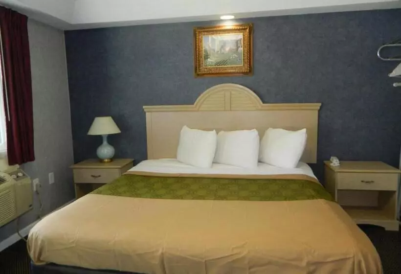 身障者適用キングサイズベッドルーム, Village Inn And Suites