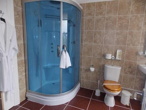 Номер Superior, Easton Court Guest House