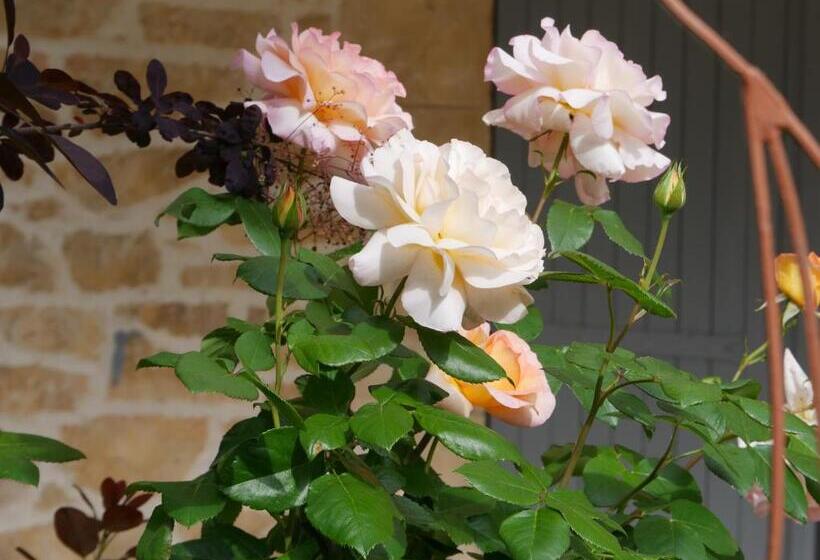 סוויטה נוף לגינה, La Bastide Du Mûrier