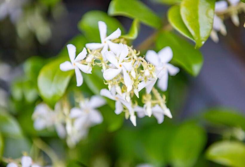 חדר סטנדרט עם מיטת קינג, La Bastide Du Mûrier