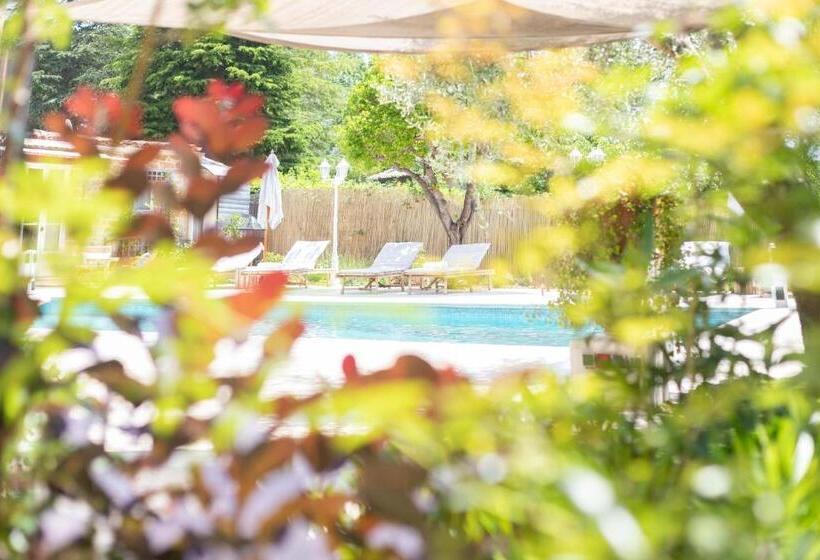 חדר סטנדרט עם מיטת קינג, La Bastide Du Mûrier