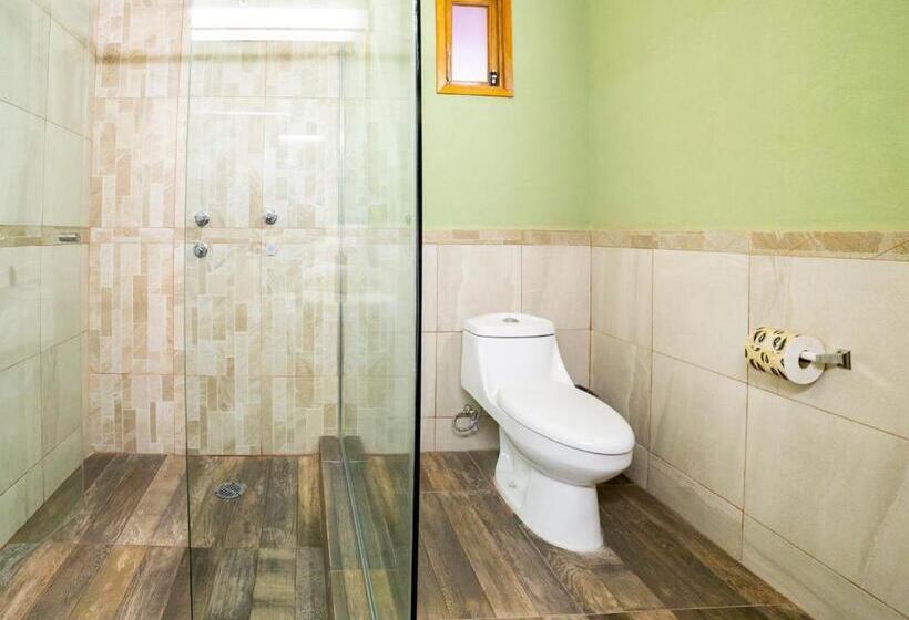 Номер Стандарт, Collection O Casona De Minas