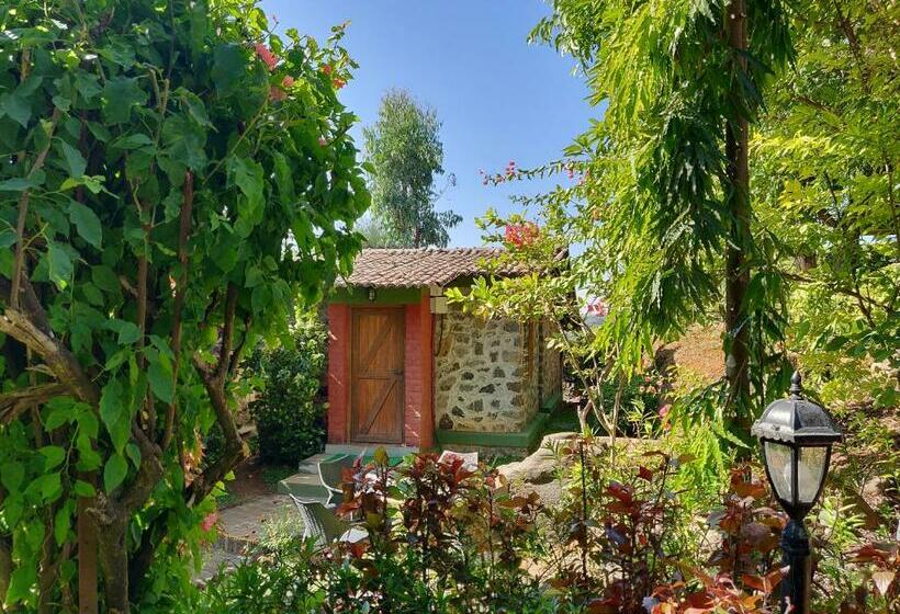 חדר סטודיו סטנדרד, Anandvan Resort