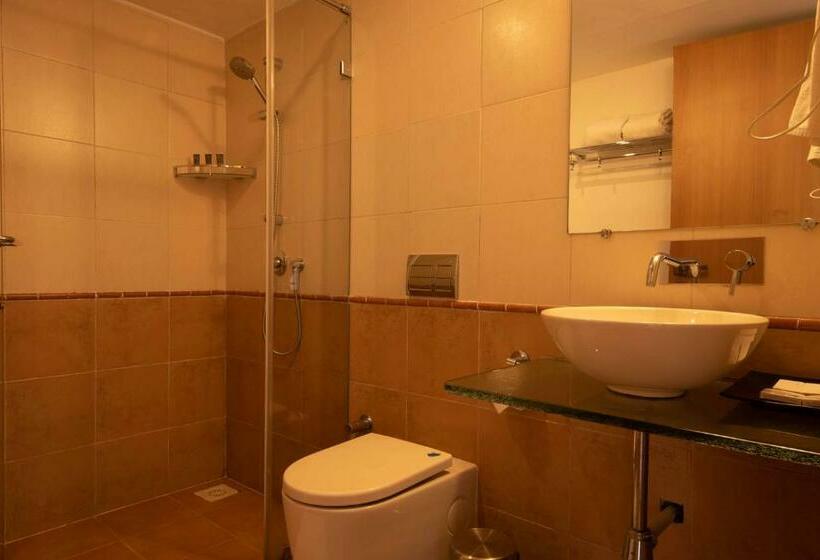 Номер Стандарт Вид на Горы, Anandvan Resort