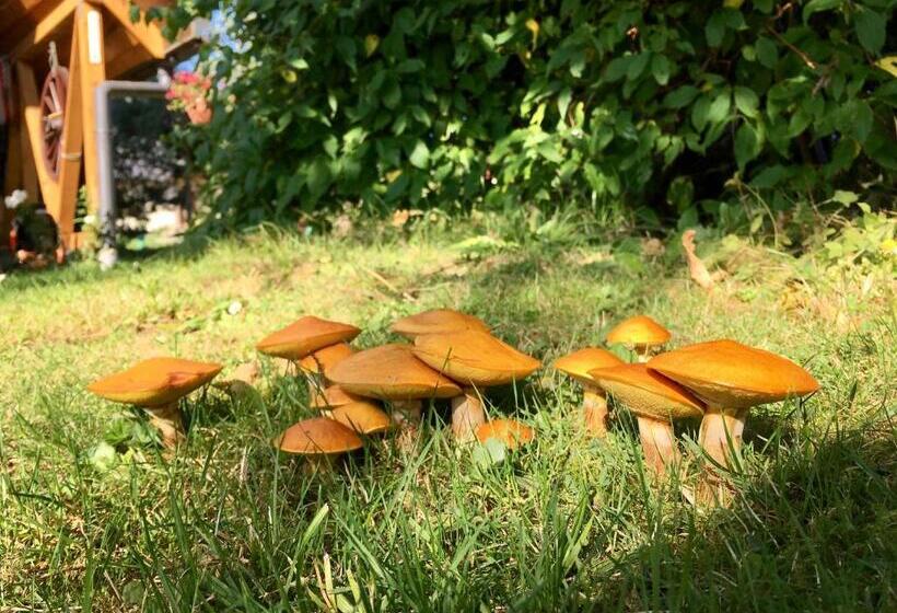 غرفة قياسية رباعية مزودة بشُرفة, Agroturystyka Pod Modrzewiem   Babia Góra