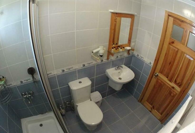 חדר סטנדרט, Mertur