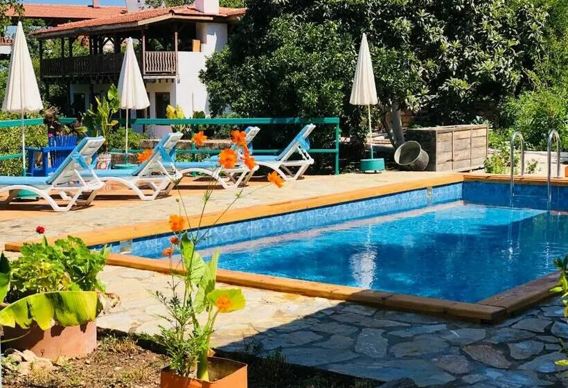 スーペリアールーム, Suleymans Garden