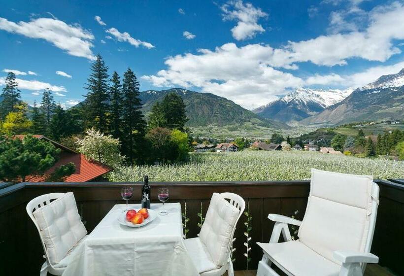 バルコニー付きスタンダードルーム, Pension Riedingerhof