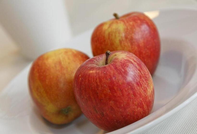 スタンダードルーム, Pension Riedingerhof