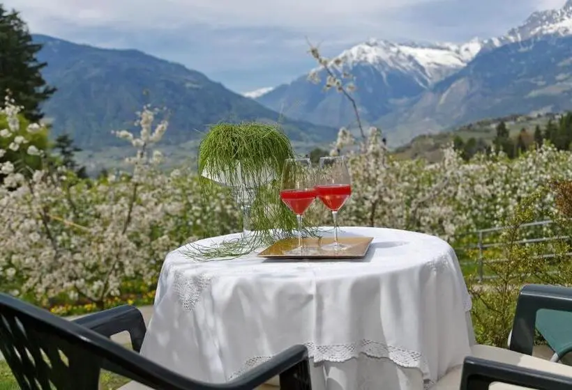 اتاق استاندارد, Pension Riedingerhof